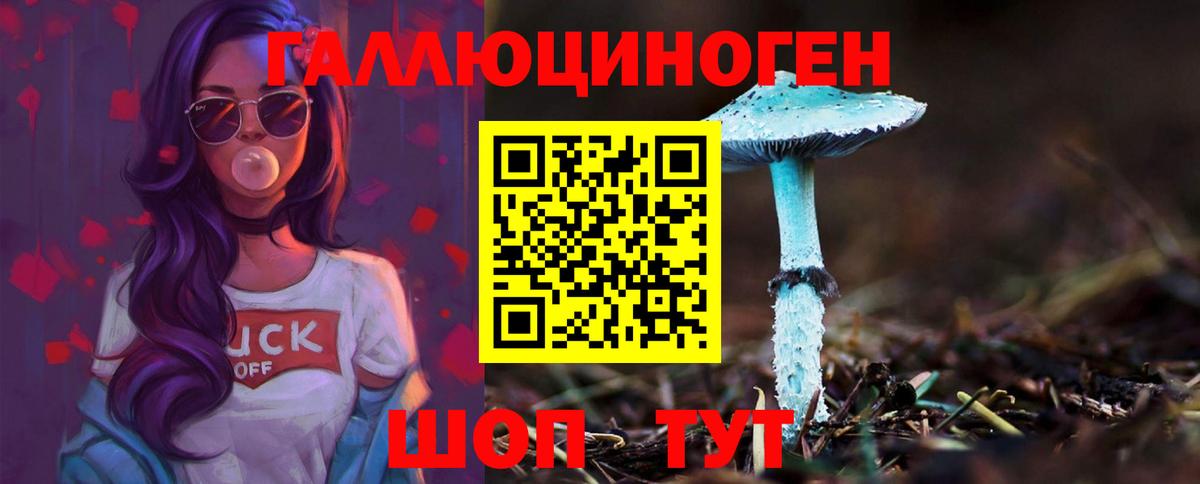 Галлюциногенные грибы Cubensis  Псилоцибиновые грибы мицелий  Вход с VPN  Кувандык 